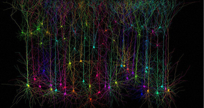 Computer simulated pyramidal neurons