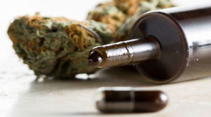 Cannabidiol (CBD): The Cat’s Out of the Bag with This Cure-All » The Event Chronicle