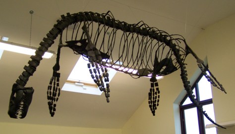 charmouth_plesio_model