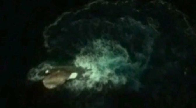 Mysterious Live Giant Dinosaur Discovered Swimming In The Ocean Proving The Flood Of The Bible | Walid Shoebat