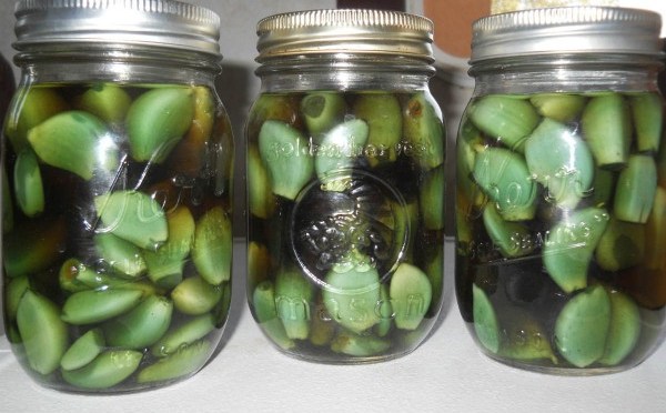 Garlic, Apple Cider Vinegar And Honey – Combination That Treats Many Diseases Including Cancer – RiseEarth