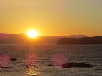 The Portal: Chania Conference Report and Two Cobra Interviews