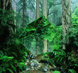 tumblr_n04kqamYVL1rj9sw5o1_r1_250