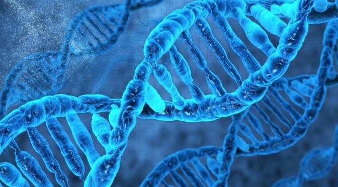 An Unknown Species Bred with Ancient Humans In The Distant Past | Your News Wire