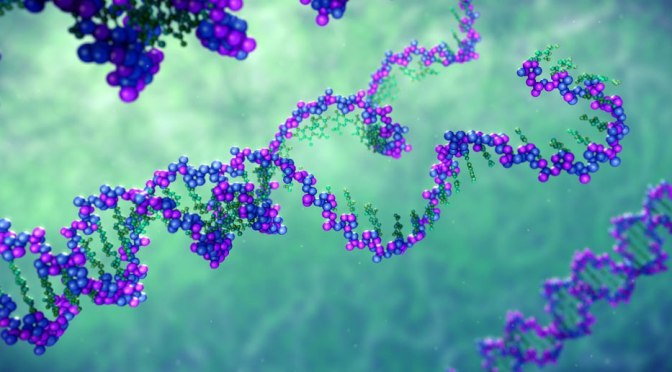 Glyphosate disrupts DNA function, causing ‘medical chaos’ in the form of multiple diseases including Alzheimer’s, Parkinson’s, say researchers » The Event Chronicle