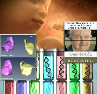 Do fetal adrenal gland (on left) compounds extend the lifespan for such centenarians who’ve had 6 heart transplants? “We are on the verge of a global transformation. All we need is the right major crisis and the nations will accept the New World Order.” – David Rockefeller speaking at a UN Business Conference, September 1994.