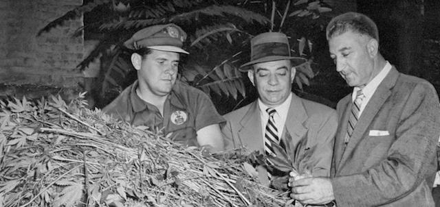 Why Is Marijuana Banned? The Real Reasons Are Worse Than You Think – Anonymous