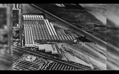 Screen Shot 2016-08-02 at 11.02.58 PM