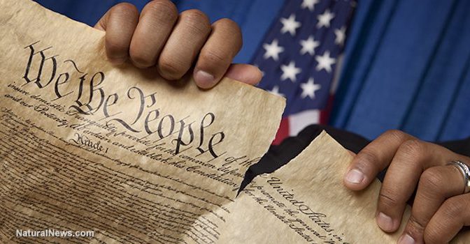 US Constitution Listed As ‘Russian Propaganda’ and ‘Fake News’ — Your News Wire