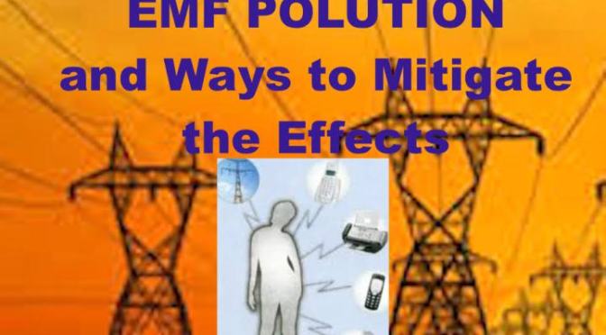 Preston James:  ElectroMagneticFrequency (EMF) Pollution and Ways to Mitigate the Effects — PROJECT CAMELOT PORTAL