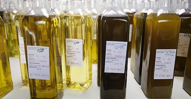 Study: 70% Of Olive Oil Is Fake – Stop Buying These Brands — Your News Wire