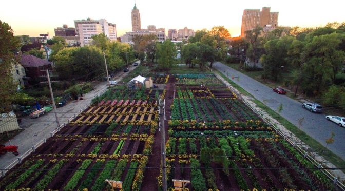 New sustainable agriculture development in Detroit feeds 2,000 households for free — David Icke latest headlines