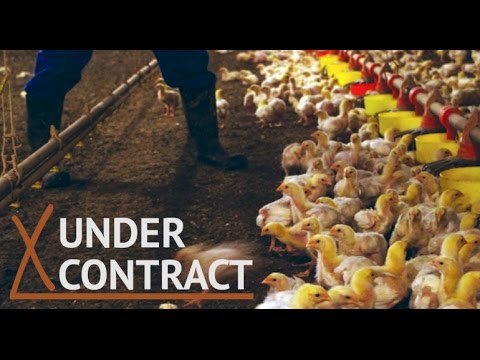 ‘Under Contract’ Farm Freedom Documentary To Show In D.C. #StandWithFarmers — David Icke latest headlines