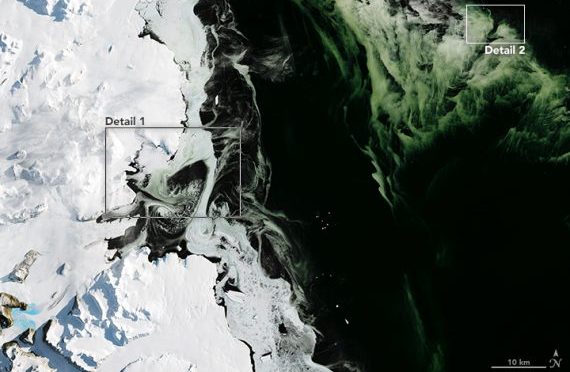 Mysterious Green Ice is Spreading Around Antarctica » The Event Chronicle