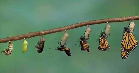 Transformation can take time