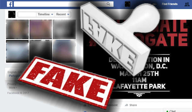 Facebook Ministry Of Truth Begins Plot To Label Alternative Media Fake News | Stillness in the Storm