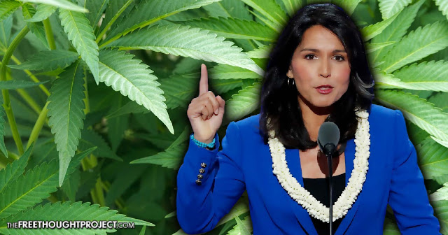 Stop ‘Tearing Apart Families’: Congresswoman Introduces Act to Decriminalize Pot — Nationally