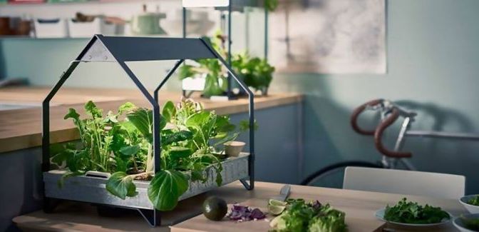 Ikea’s Hydroponic System Allows You to Grow Vegetables All Year Without a Garden