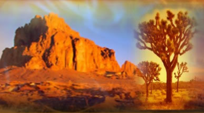 Mike Quinsey Message, March 24, 2017 | Galactic Connection