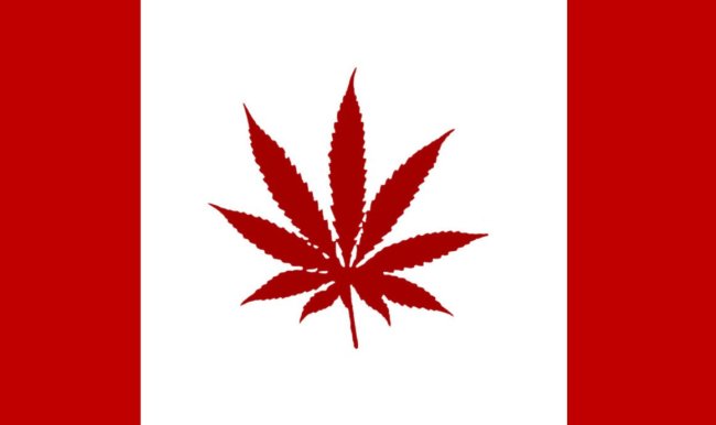 Weed_Canada