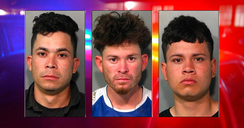 Three Illegal Immigrant MS-13 Gang Members Arrested for Attempted Murder in Long Island Machete Attack