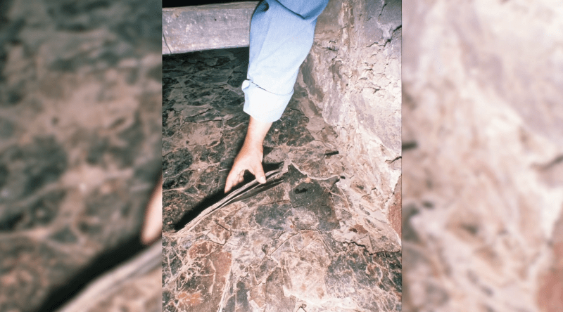 9 Mica Chamber Closeup 2