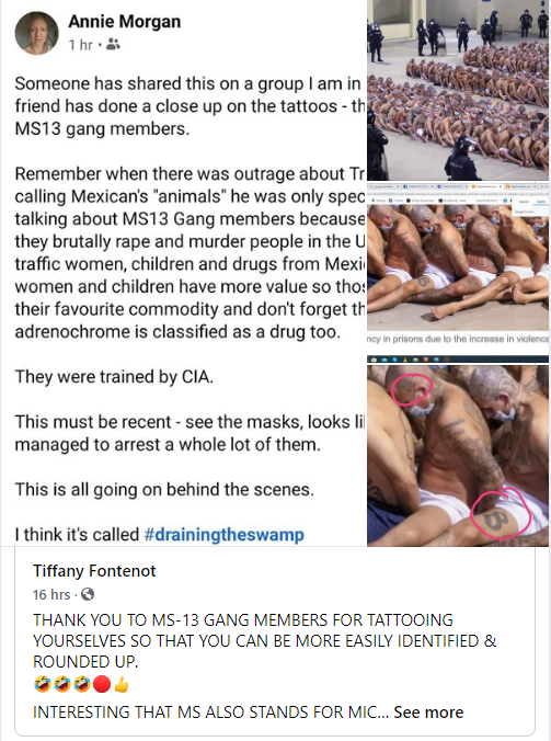 ms13